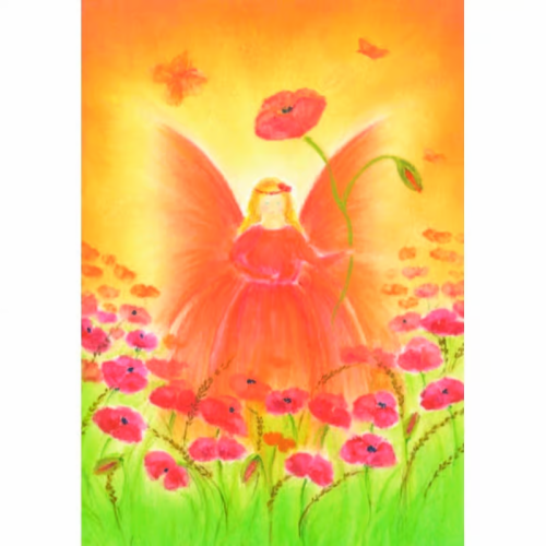 Ansichtkaart Klaprozen (Baukje Exler)