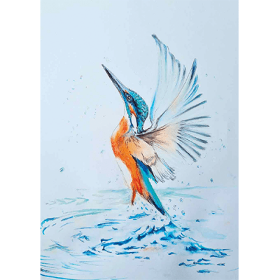 Ansichtkaart Ijsvogel (Brechtje Duijzer)