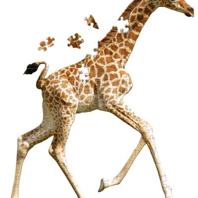 Contourpuzzel Giraffe - 100 stukjes posterformaat (Madd Capp)