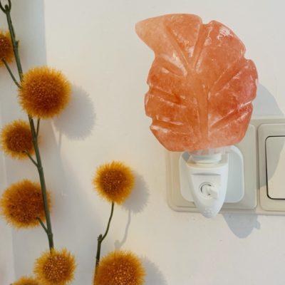 himalaya zoutlamp