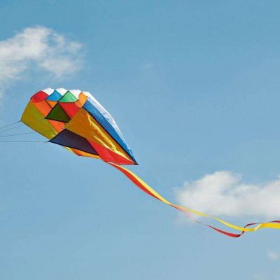 Pocket regenboog vlieger in een zak