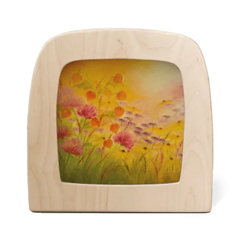 Toverplaat Ambervelden (Baukje Exler)