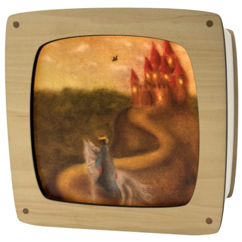 Toverplaat prins (Lot Bouwes)